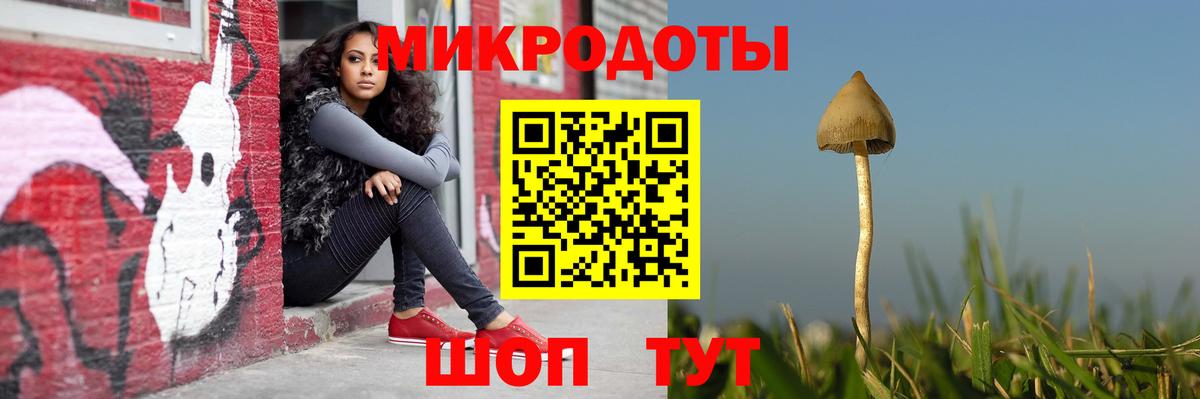 Галлюциногенные грибы Magic Shrooms Каменка